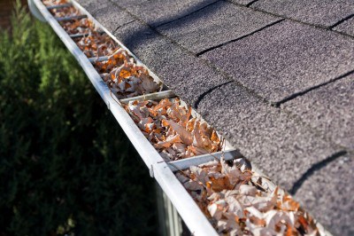 gutter cleaning rocky mount